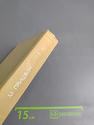 Сказка о правде