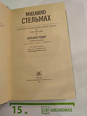 Большая родня. Роман-хроника. Том третий