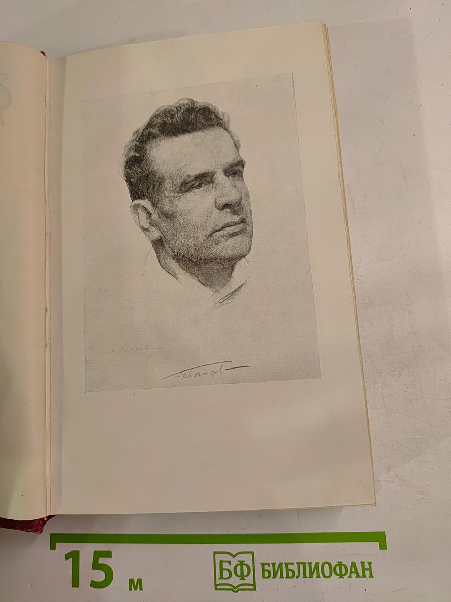 Собрание сочинений Том первый. Бруски. Книги первая и вторая