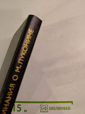 Воспоминания о Михаиле Луконине