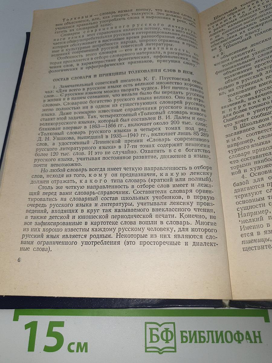 Школьный толковый словарь русского языка