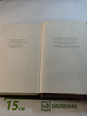 Жизнь Муравьева. Документальная историческая хроника
