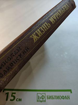 Жизнь Муравьева. Документальная историческая хроника