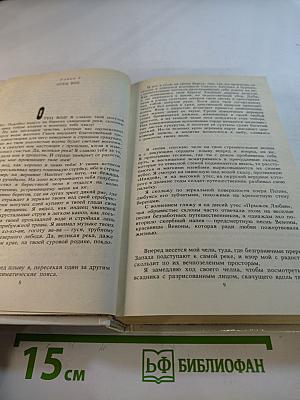 Квартеронка. Морской волчонок