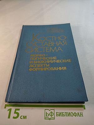 Костно-суставная система: Морфологические и биохимические аспекты формирования
