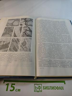 Костно-суставная система: Морфологические и биохимические аспекты формирования