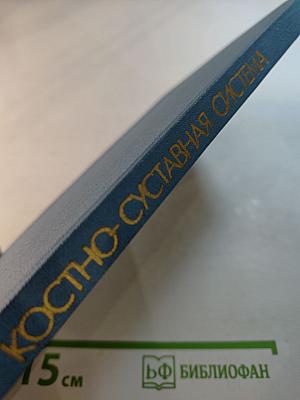 Костно-суставная система: Морфологические и биохимические аспекты формирования