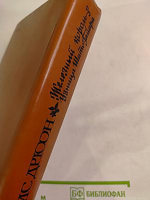 Железный Король. Узница Шато-Гайара