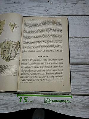 Атлас нормальной анатомии человека