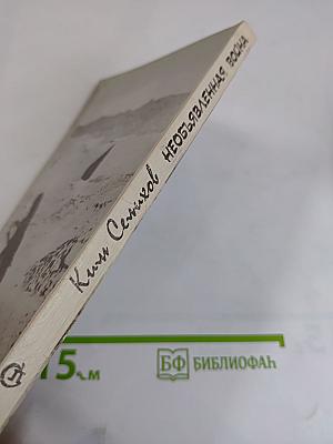 Необъявленная война