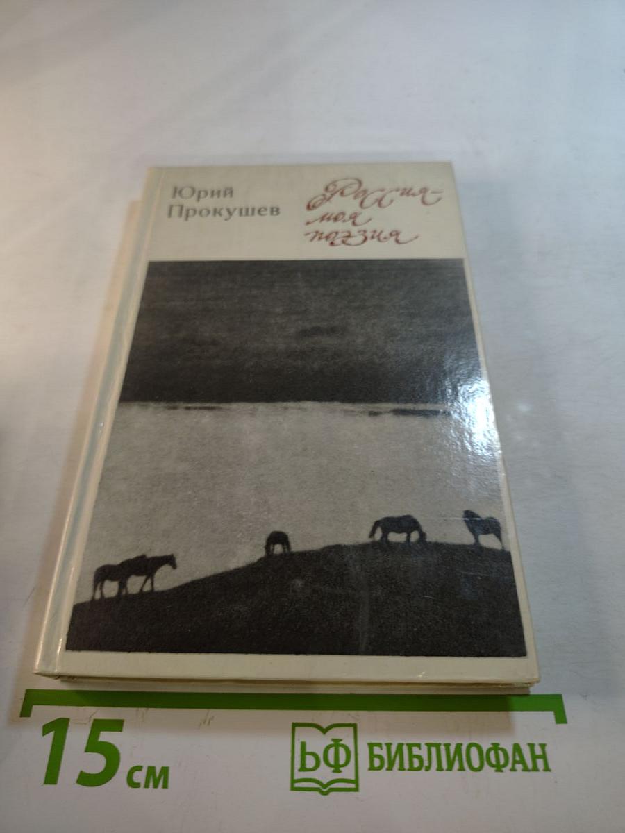 Россия - моя поэзия. Раздумья критика