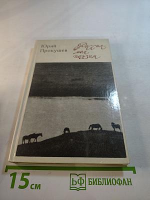 Россия - моя поэзия. Раздумья критика