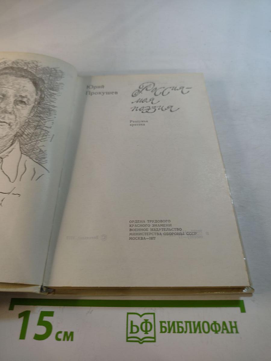 Россия - моя поэзия. Раздумья критика