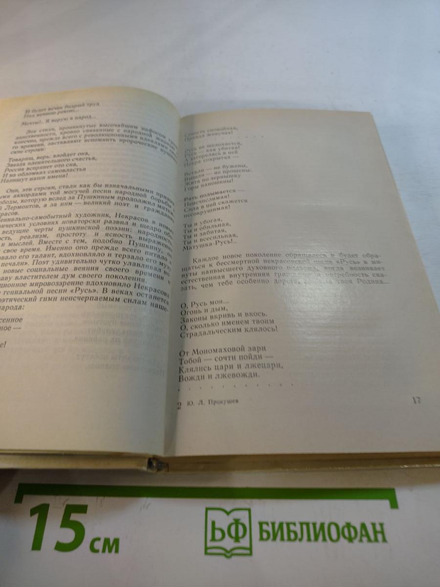 Россия - моя поэзия. Раздумья критика