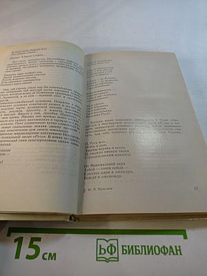 Россия - моя поэзия. Раздумья критика