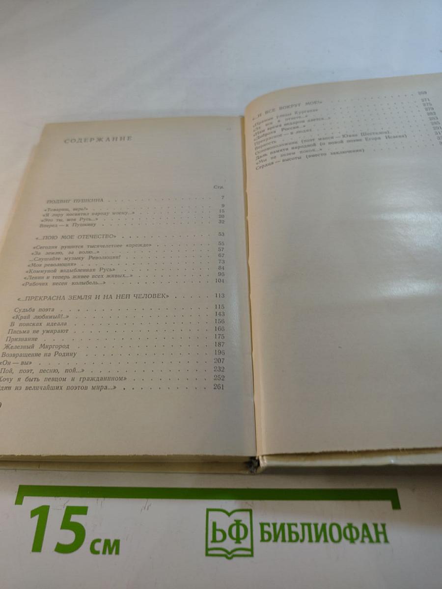 Россия - моя поэзия. Раздумья критика