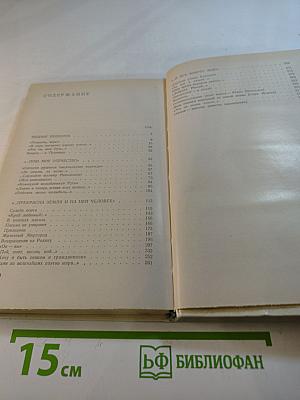 Россия - моя поэзия. Раздумья критика