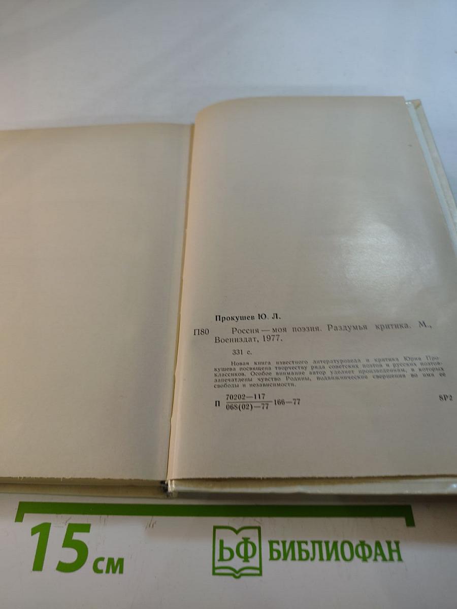 Россия - моя поэзия. Раздумья критика