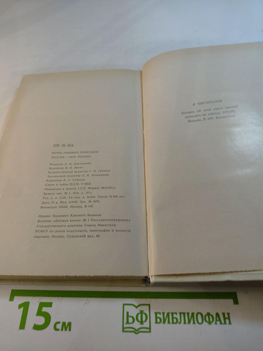 Россия - моя поэзия. Раздумья критика