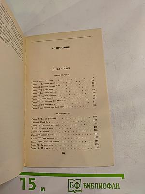 Одеты камнем. Михайловский замок