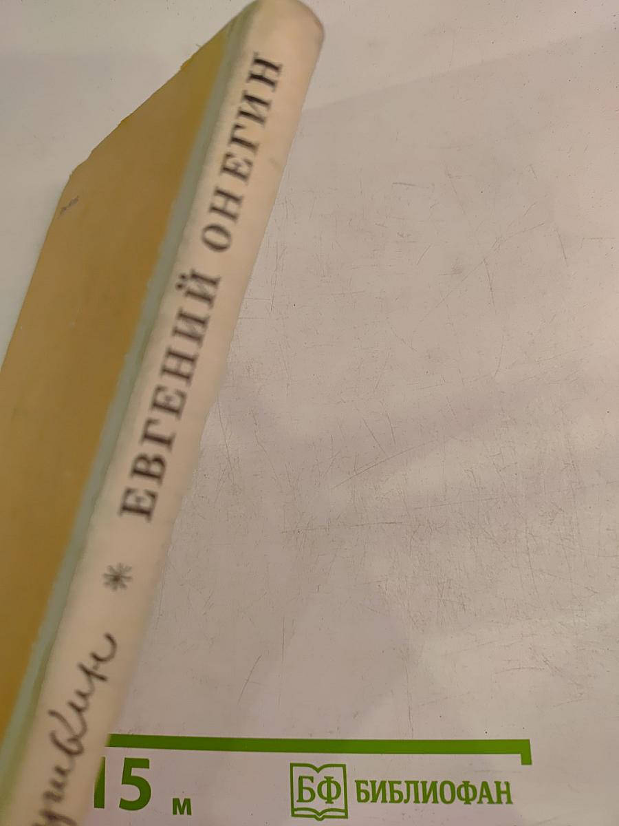 Евгений Онегин