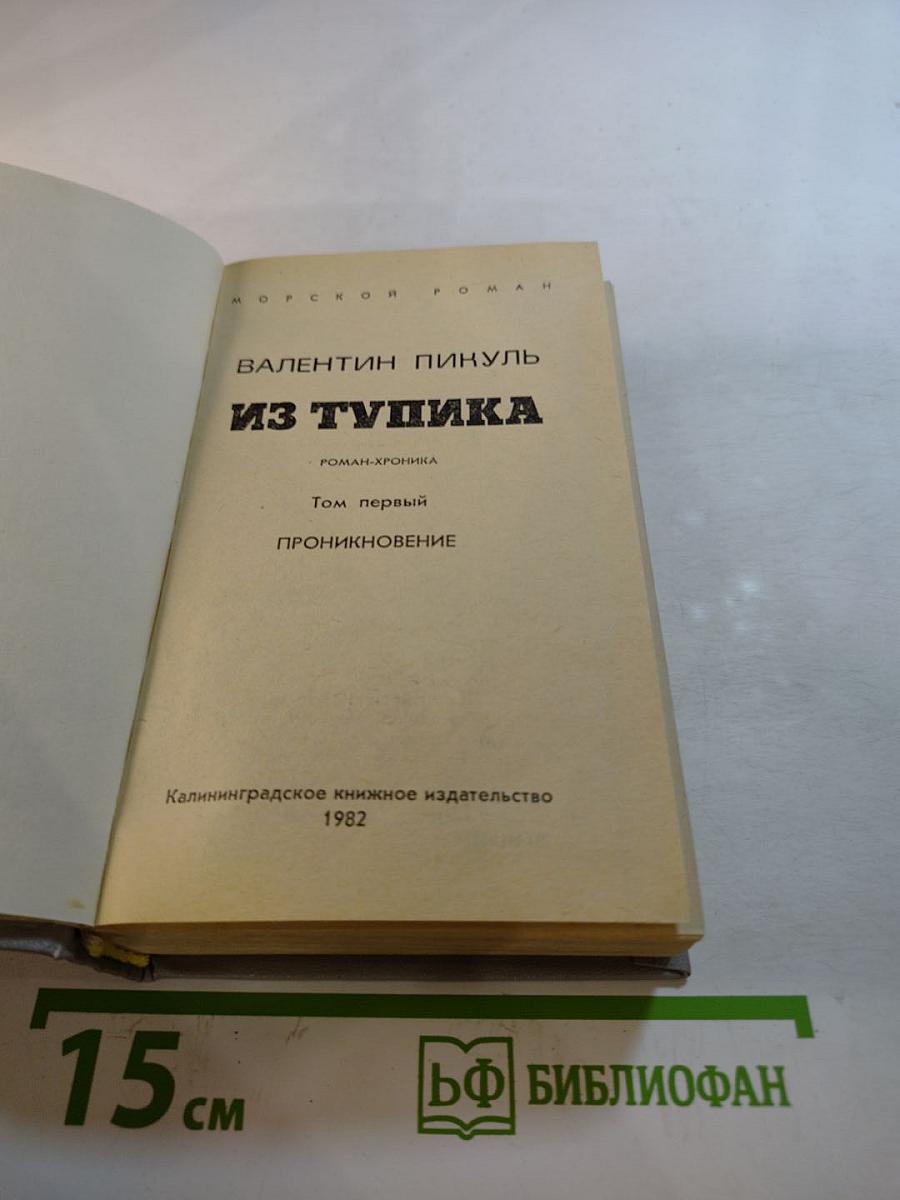 Из тупика. Том первый. Проникновение