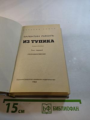 Из тупика. Том первый. Проникновение