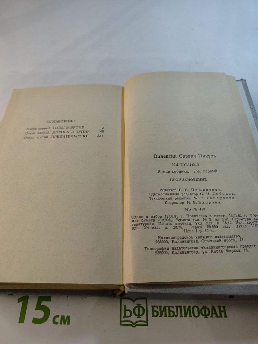 Из тупика. Том первый. Проникновение