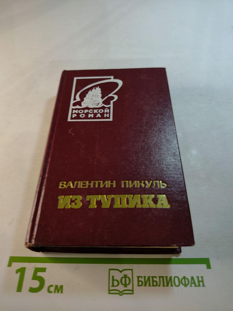 Из тупика. Роман-хроника. Том первый. Проникновение