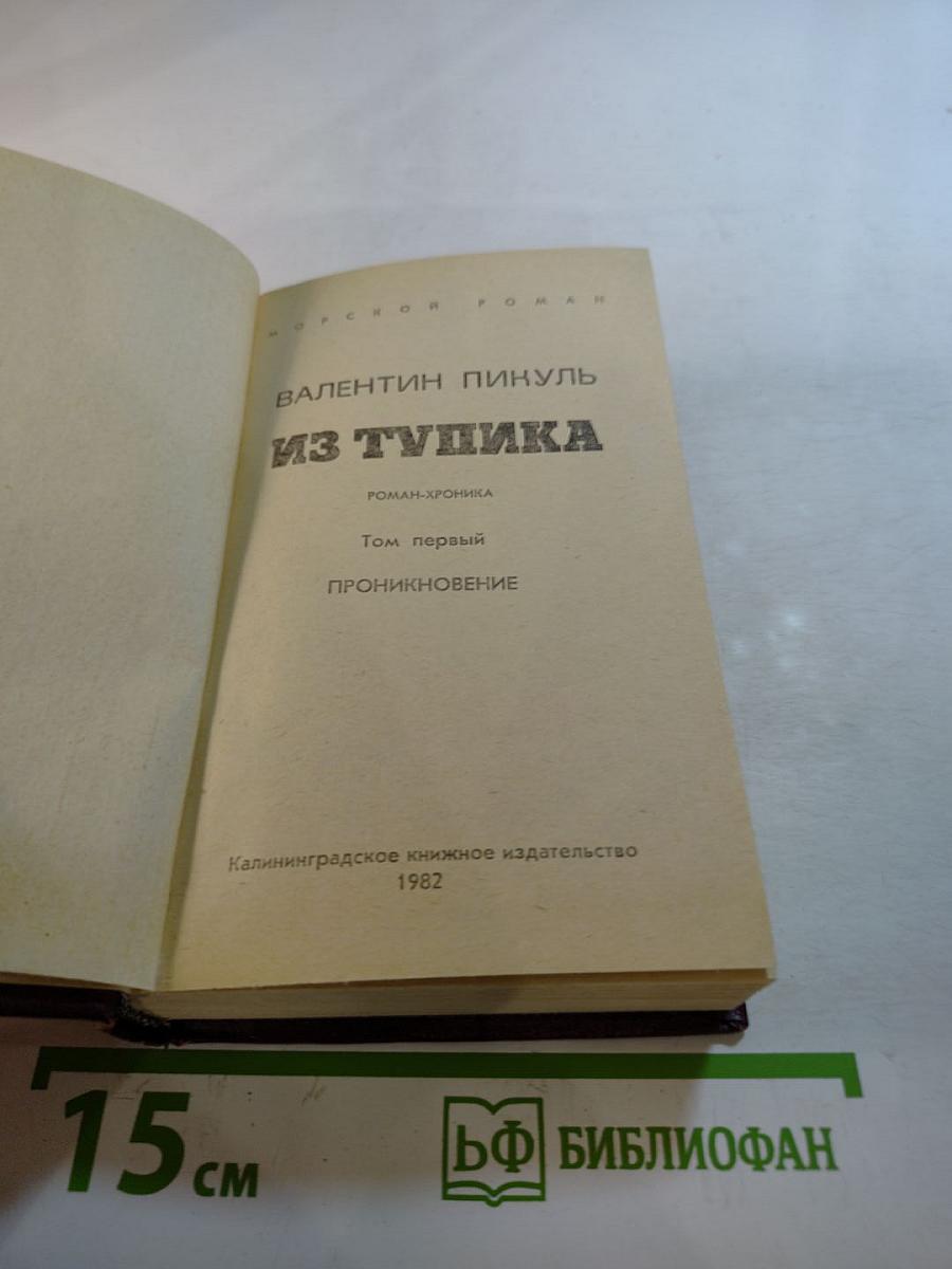 Из тупика. Роман-хроника. Том первый. Проникновение