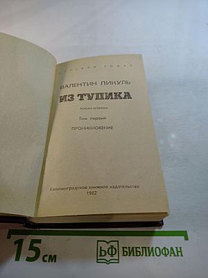 Из тупика. Роман-хроника. Том первый. Проникновение