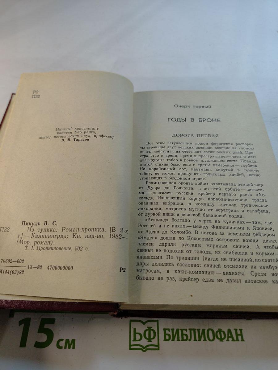 Из тупика. Роман-хроника. Том первый. Проникновение