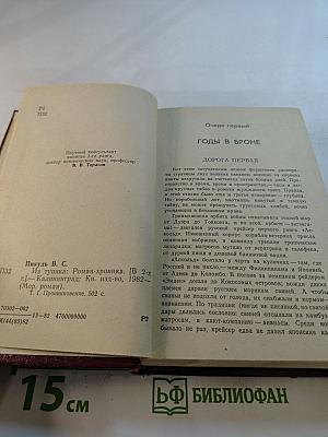 Из тупика. Роман-хроника. Том первый. Проникновение