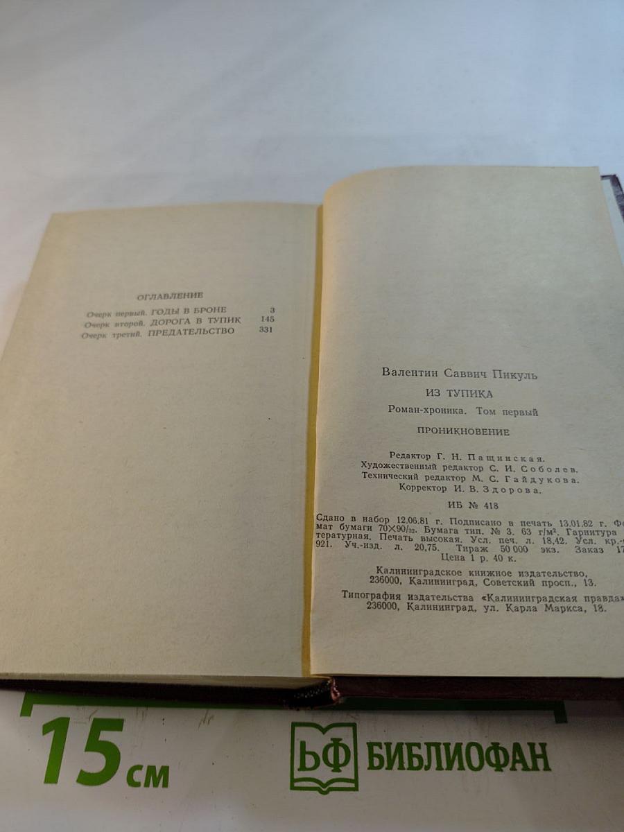 Из тупика. Роман-хроника. Том первый. Проникновение