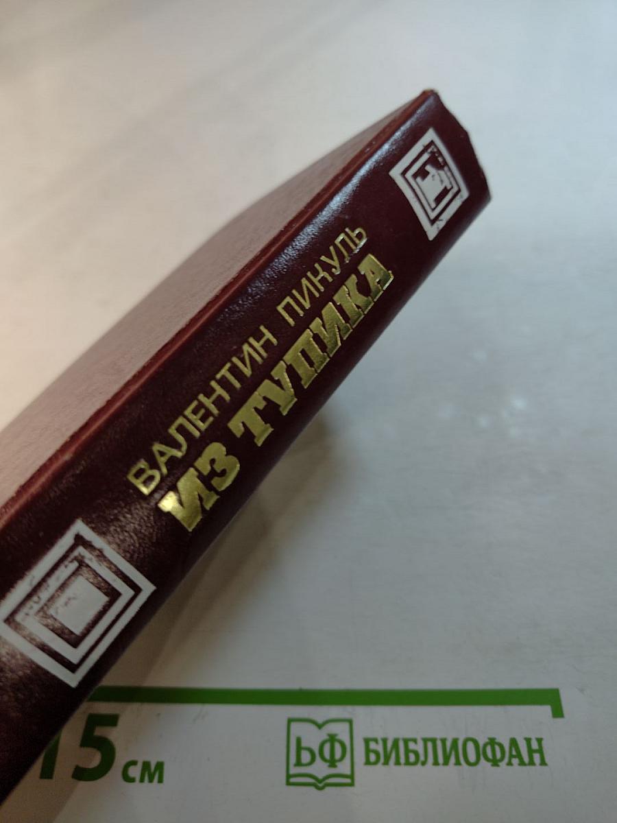 Из тупика. Роман-хроника. Том первый. Проникновение