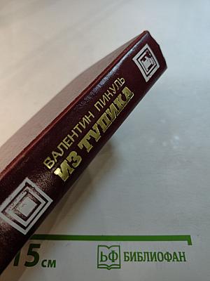 Из тупика. Роман-хроника. Том первый. Проникновение