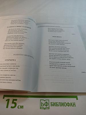 Сфинкс. Литературно-художественный альманах. Выпуск IV