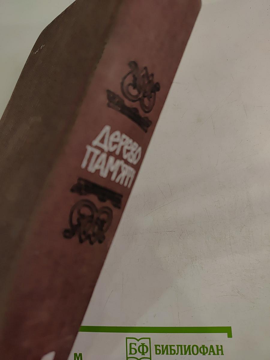 Дерево пам'яті