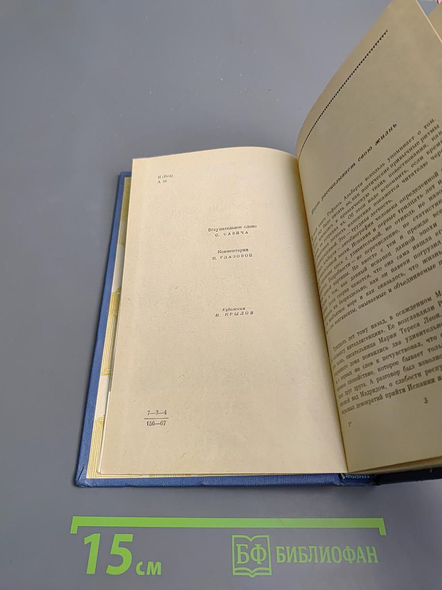 Затерянная роща