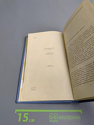 Затерянная роща