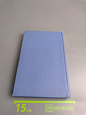 Затерянная роща