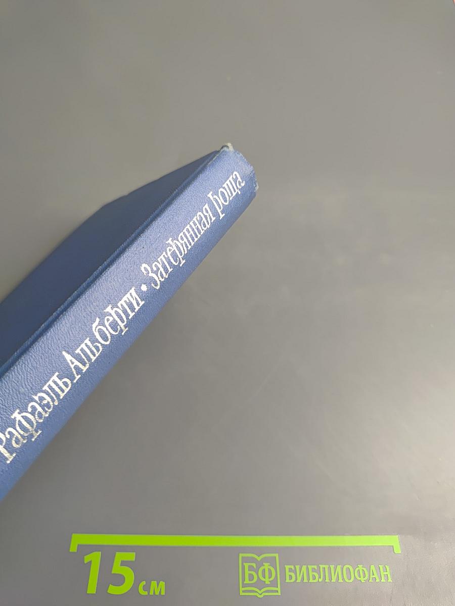 Затерянная роща