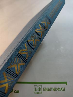 В Политехническом "Вечер новой поэзии": Стихи участников поэтических вечеров в Политехническом 1917-1923. Статьи. Манифесты. Воспоминания