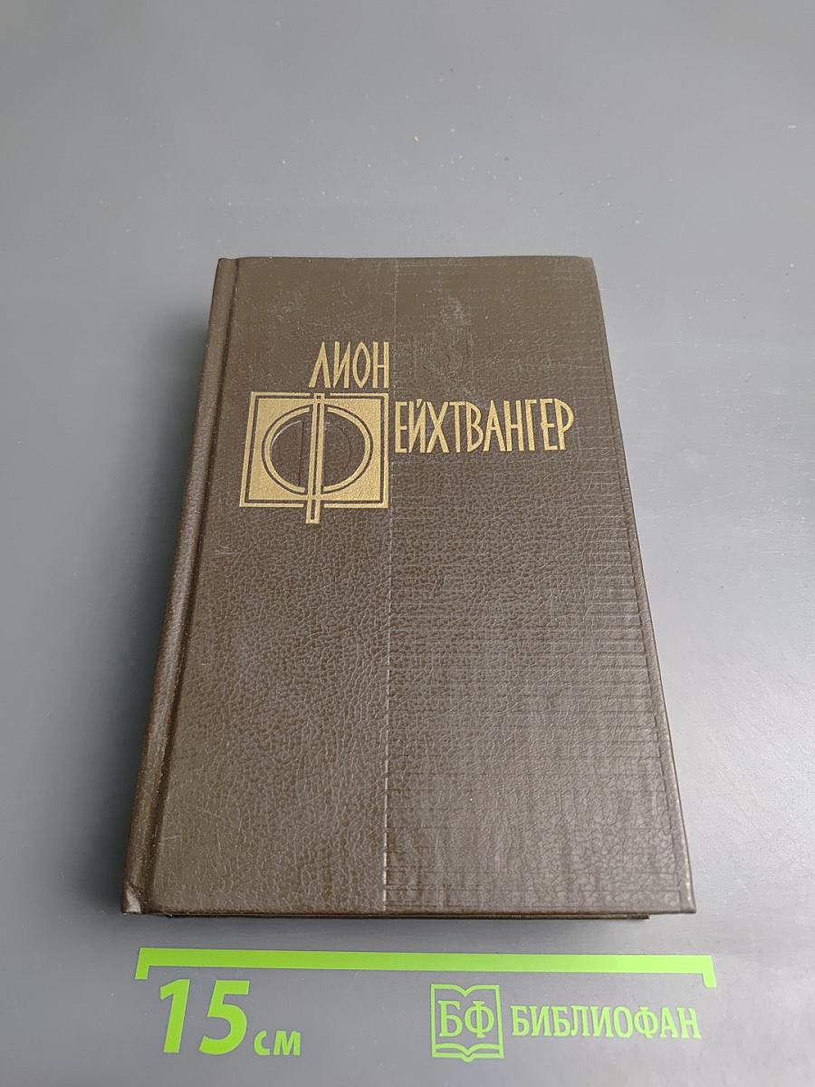 Избранные произведения. Том третий. Успех. Книги 4-5. Семья Опперман