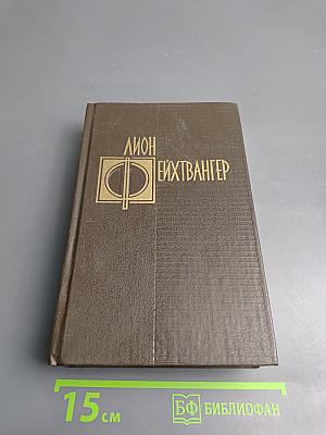 Избранные произведения. Том третий. Успех. Книги 4-5. Семья Опперман