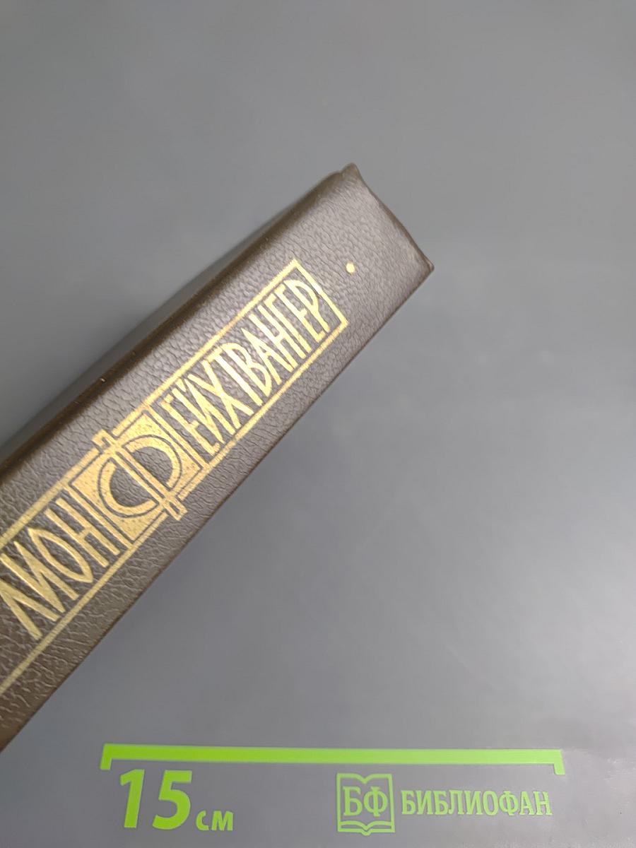 Избранные произведения. Том третий. Успех. Книги 4-5. Семья Опперман