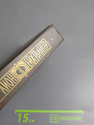 Избранные произведения. Том третий. Успех. Книги 4-5. Семья Опперман