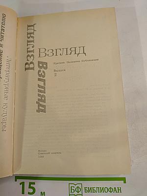 Взгляд. Выпуск 2: Критика. Полемика. Публикации