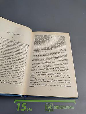 Чужие грехи