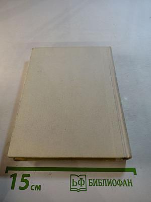 Суворов в Петербурге